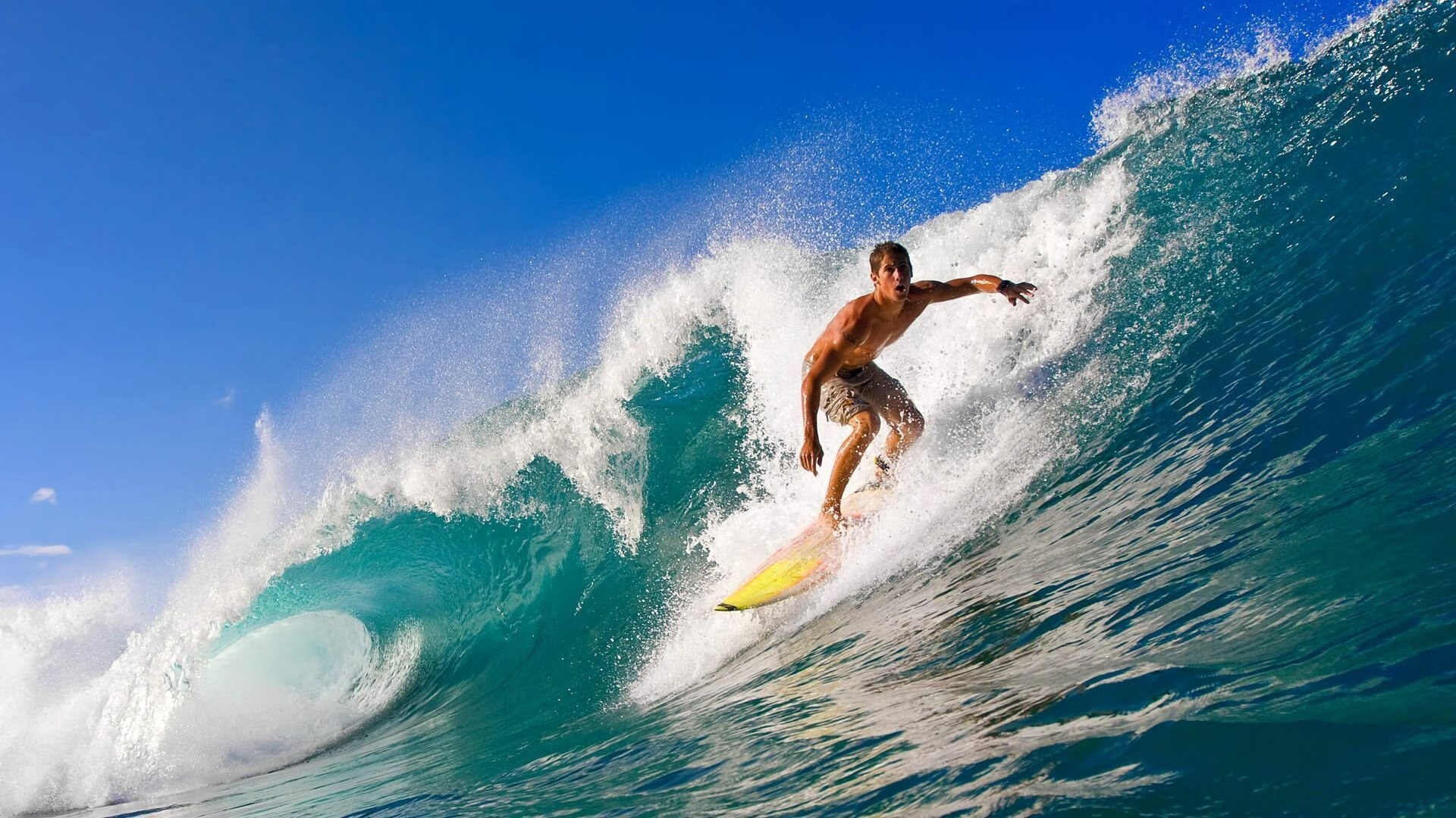 _运动员专访:背后的训练故事与未来目标_,运动员刻苦训练的故事